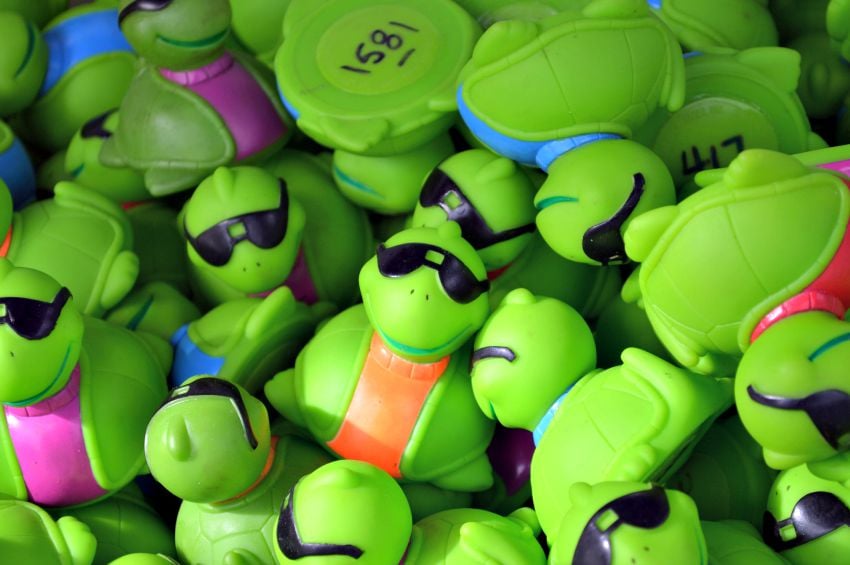 <who> Photo Credit: KamloopsBCNow.com </who> The turtles ready for the 14th Turtle River Race.