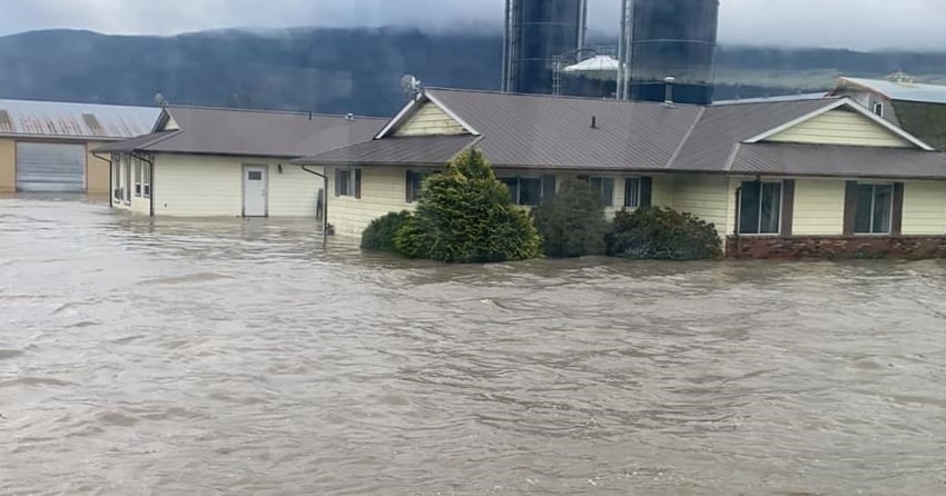'It was devastating': BC woman shares story of flood damage to family farm