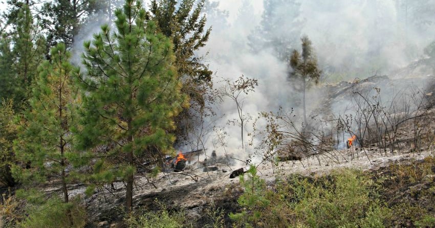 Hotspots may reappear in the Interior from overwintering fires