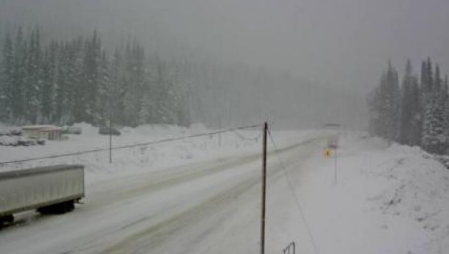 <who>Photo Credit: DriveBC</who>Hwy 1 at Rogers Pass at 10 am on Thursday.