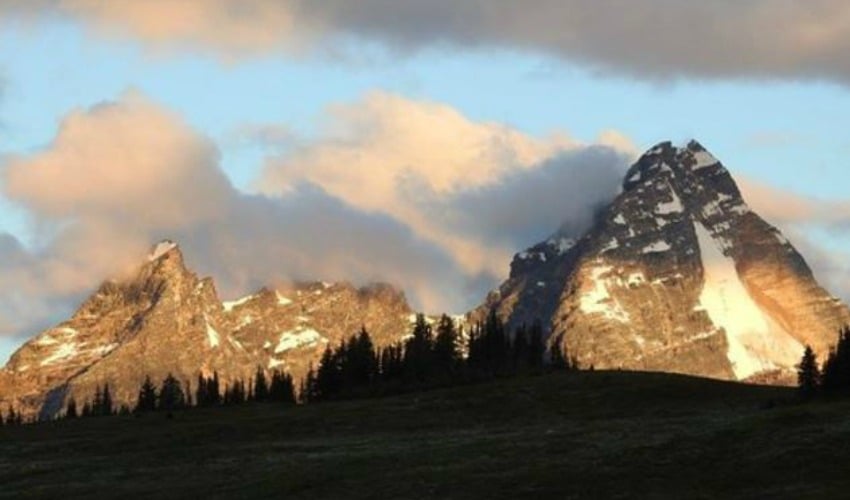 <who> Photo Credit: Trip Advisor