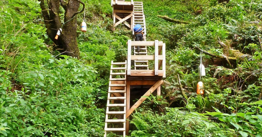 West Coast Trail cracks list of top 10 most photographed trails in the world