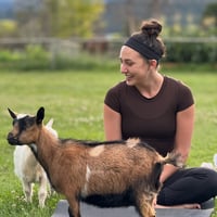 GOGA in the Magical Meadow: Goat Yoga with a Playful Twist 🐐✨