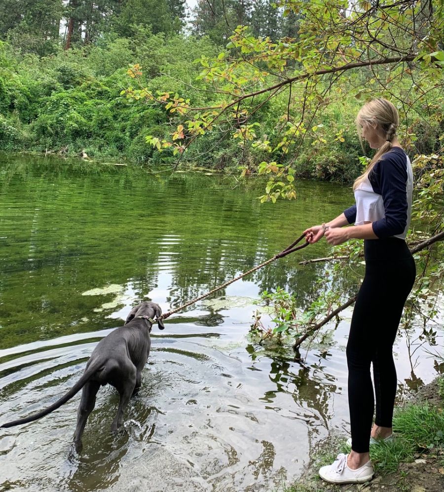 <who> Toby exploring the pond at Mission Creek Regional Park </who>