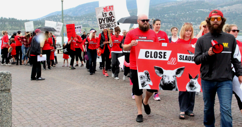 <who>Photo Credit: KelownaNow