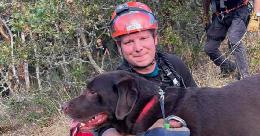 <who> Photo Credit: BCSARA </who> A dog rescued from a hiking trail by Coquitlam Search and Rescue members.