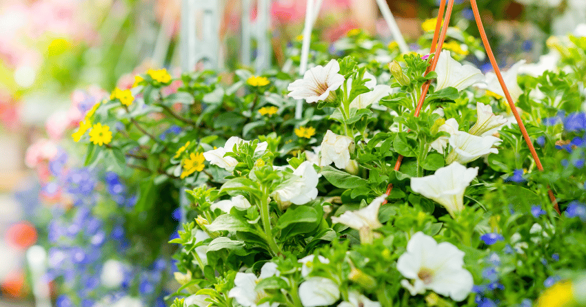 The Best Home and Garden Store in Kamloops, as voted by you