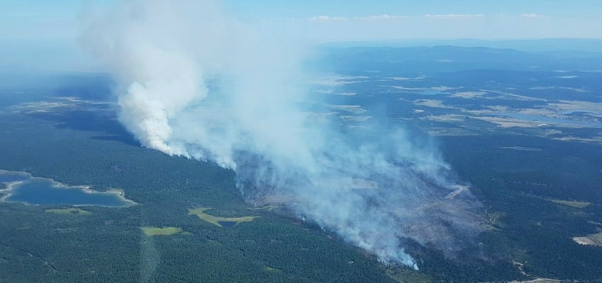 Elephant Hill wildfire.