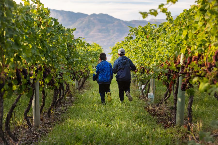 Volcanic Hills Winery