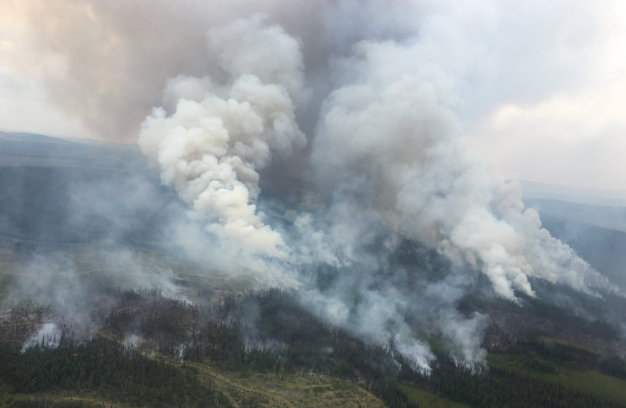 Photo credit: BC Wildfire- The Wentworth Creek  80 km NW of Williams Lake (taken July 26). 