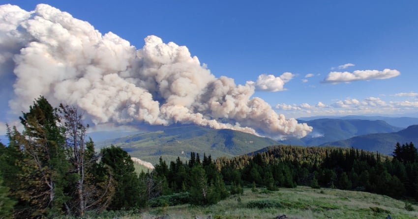 <who> Photo Credit: BCWS</who> The Maria Creek fire on Aug. 1.
