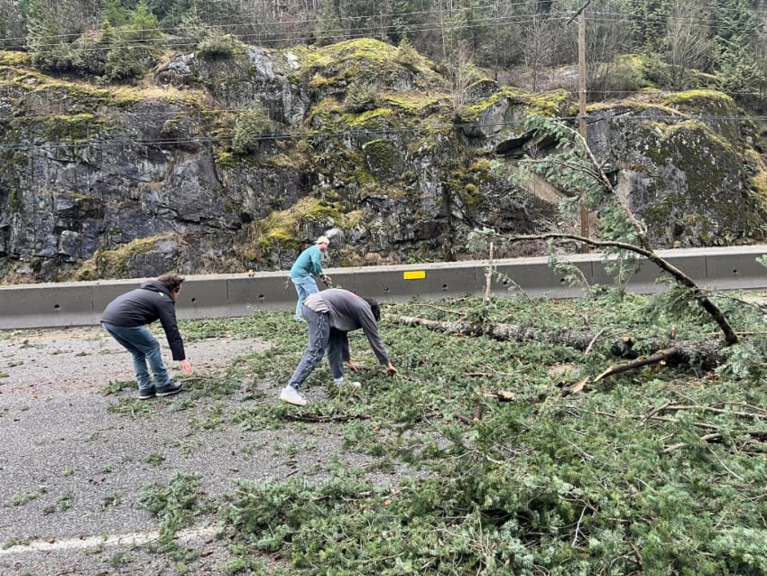 Stunning Who Removes Fallen Trees From Roads Gallery