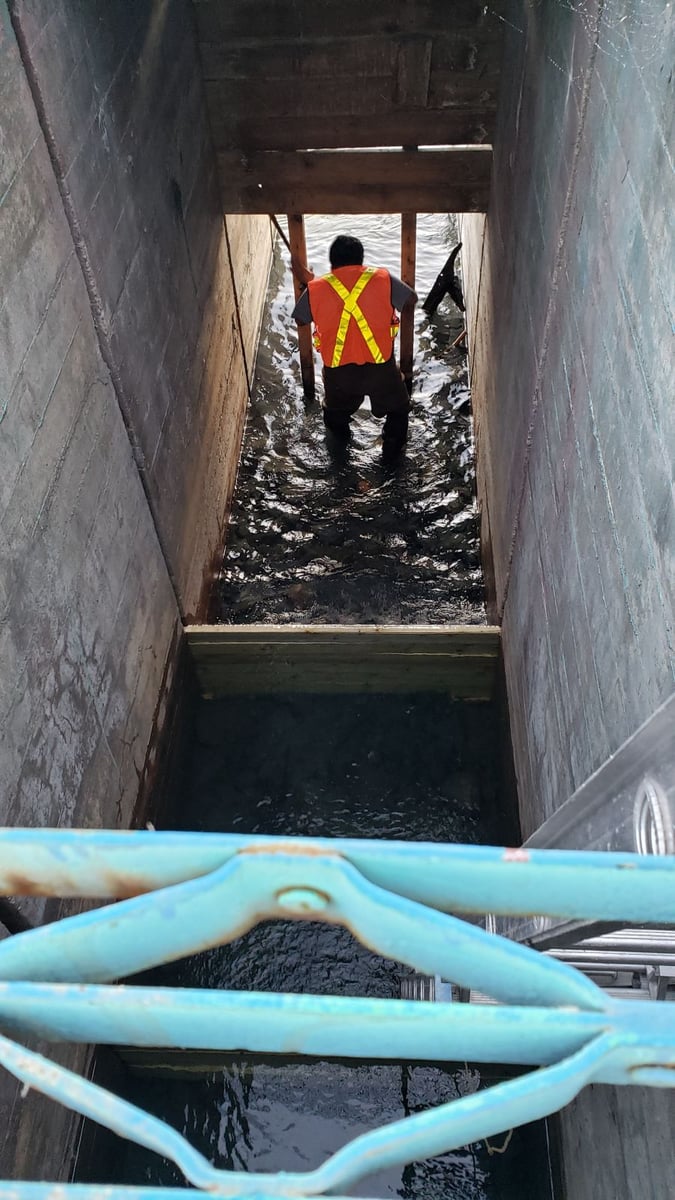 <who>Photo Credit: NowMedia</who> A worker in the fish ladder earlier this week.
