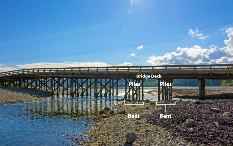 <who>City of Colwood</who>The bridge decking is supported by 15 bents. Each bent is made up of 6 piles topped by a cap.
