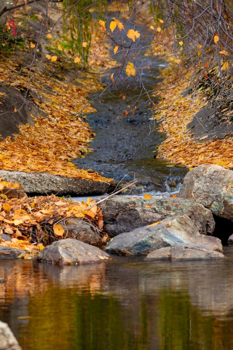 <who>Photo Credit: NowMedia/Gord Goble</who> The downstream end of the flume that Mortifee says is virtually impassable