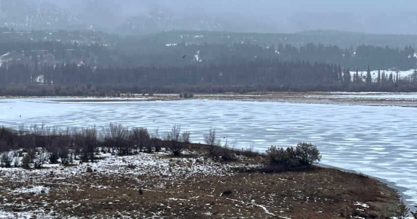 <who> Photo Credit: Nicole Trigg/Living Lakes Canada </who> Low snow in the Columbia Basin.