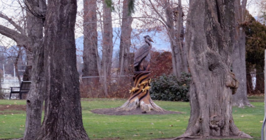 Kelowna weather: Some sunshine, high of 7ºC, plenty of rain overnight