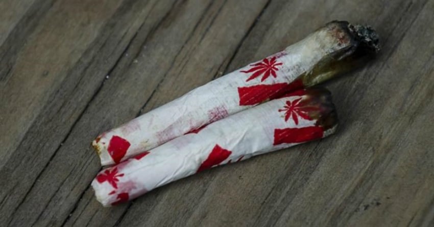 Gap between average price of legal and illegal cannabis widens: StatCan