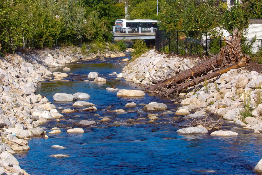 <who>Photo Credit: NowMedia/Gord Goble</who> A remediated section of Penticton Creek