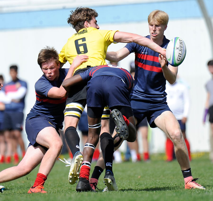 KSS Owls poised for solid showing in provincial rugby