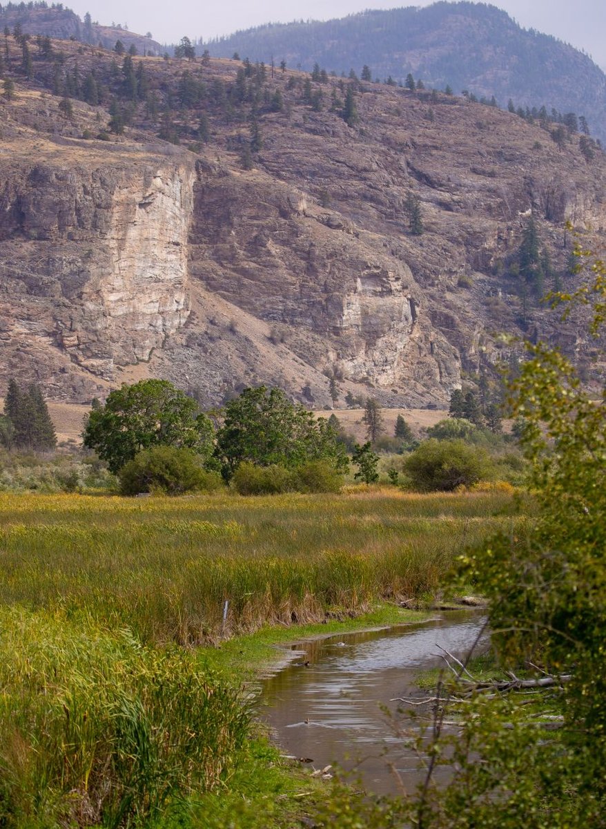 <who>Photo Credit: NowMedia</who> Scene from proposed trail section west of Vaseux Lake