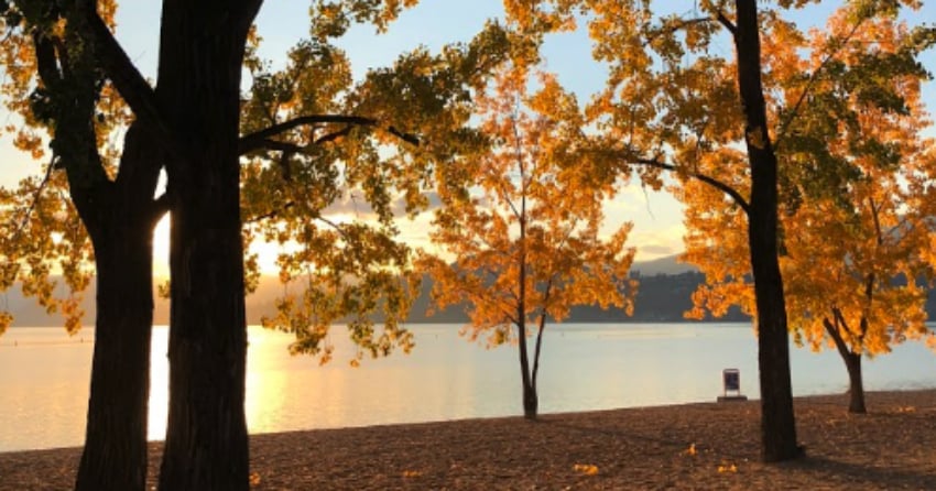 PHOTOS: Wasn't this the best year for fall colours?!