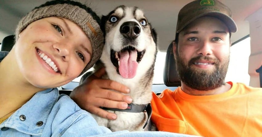 VIDEO: Canadian man reunited with his dog 4 years after he was stolen