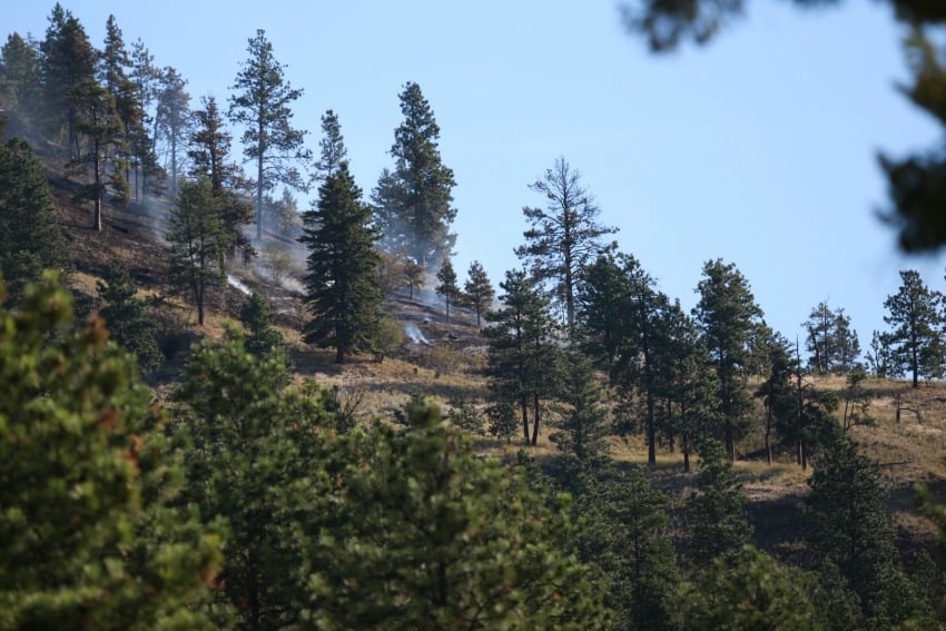 <who> Photo Credit: KelownaNow. </who> After the fire. No damage was done to surrounding homes as of Sunday morning. 