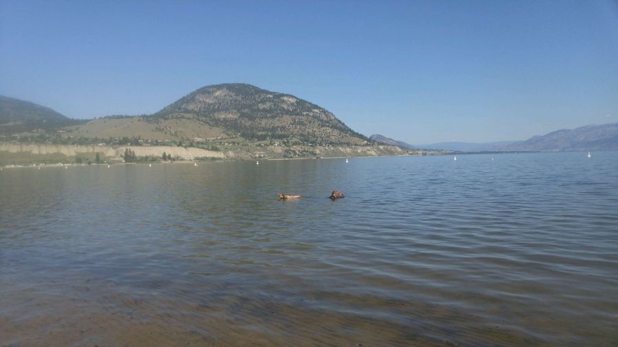 <who>Photo Credit: PentictonNow </who>Beach lovers will be thrilled to know the City of Penticton will be removing the massive amounts of sandbags and gabion baskets along the shore line on Okanagan Lake beginning next week.