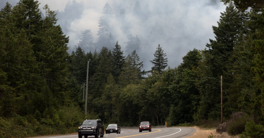 Wildfires decline in BC with rain, cooler weather, but heat forecast to return