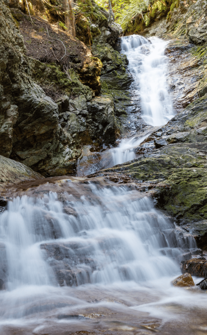 <who>Photo Credit: John Borda</who>