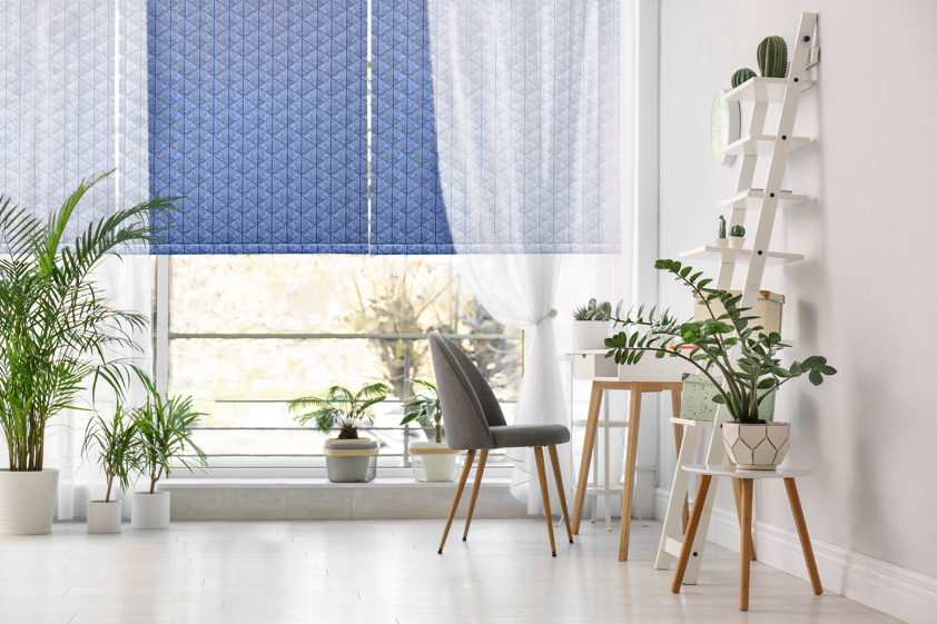 <who>Photo Credit: Budget Blinds</who>Roller Shades in Home
