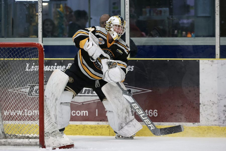 <who>Photo credit: Victoria Grizzlies</who>