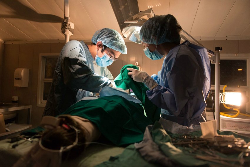 Vancouver Aquarium Conducts World's First Surgery on Sea Otter