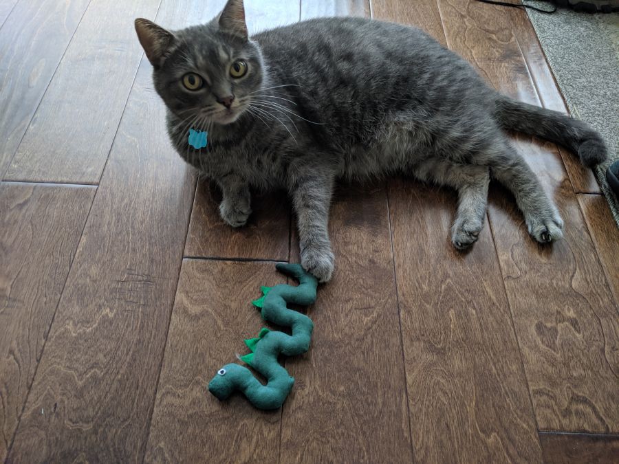This is Boris - destroyer of the Ogopogo