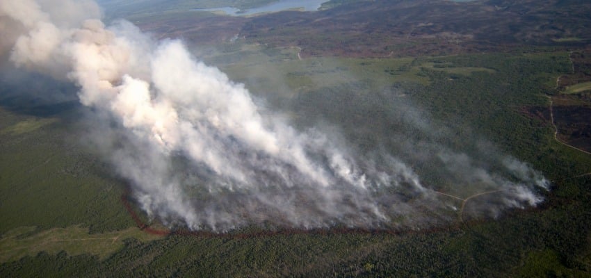 <who> Photo Credit: BC Wildfire Service. </who> The Puntzi Lake fire. 