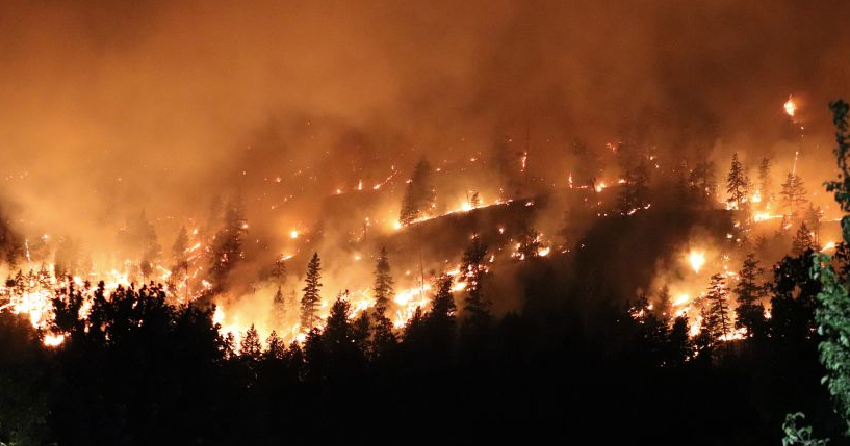 Fighting fire with fire: Experts explore a solution to the wildfire crisis