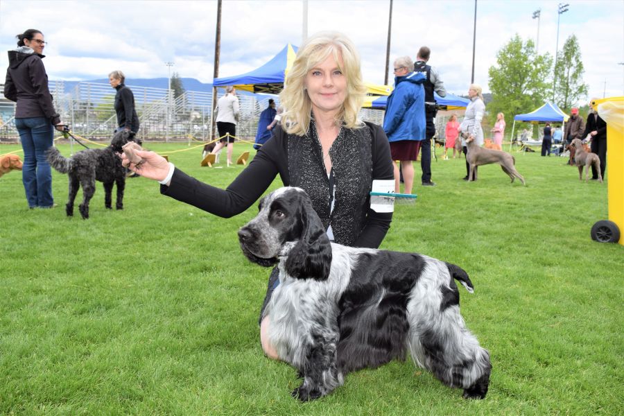 </who>Denise Karkkainen of Cochrane, Alberta is the owner and handler of Quincy, a Canadian and American champion English cocker spaniel.