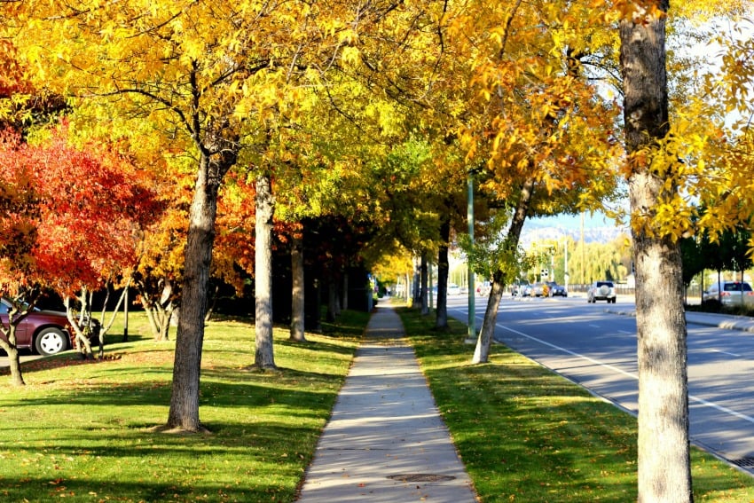 Today is the first official day of Autumn