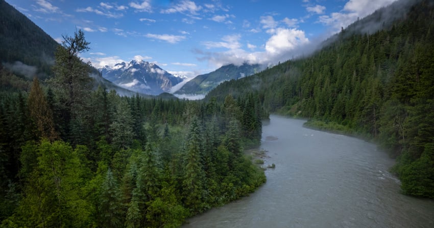 <who> Photo Credit Courtesy of Paul Zizka via The Nature Conservancy of Canada