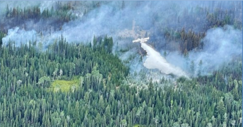 <who> Photo Credit: BCWS</who> Air support on the northern flank on Aug.17