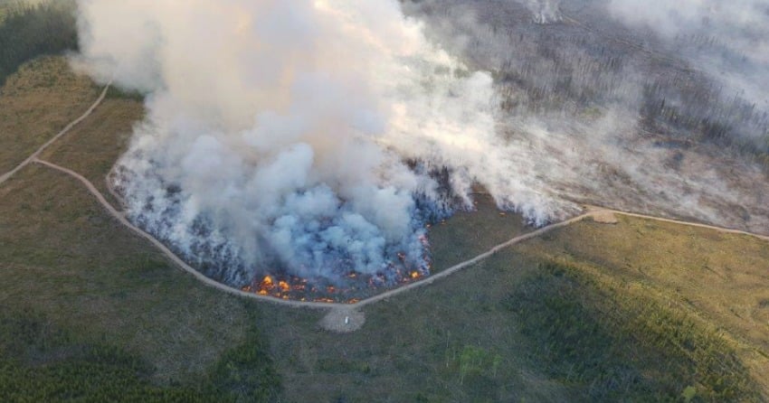 <who>Photo Credit: BC Wildfire Service</who> The Tautri wildfire, one of 19 fires that now make up the Plateau fire