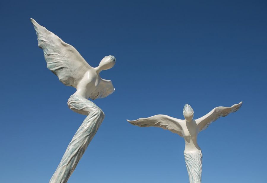 </who>Above and below, different views of Pro Terra et Natura. 