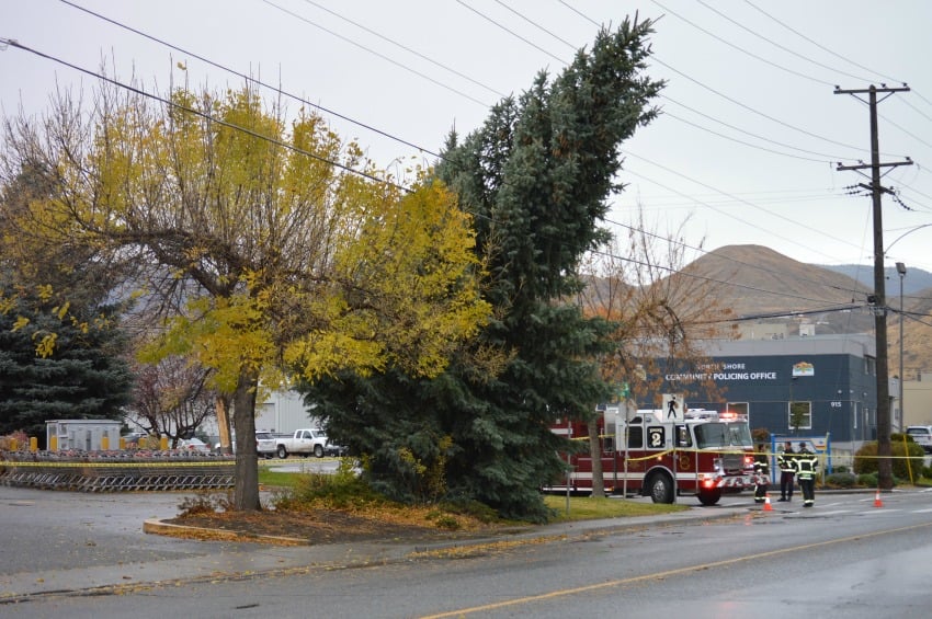 A tree took out a power line along 7th Street behind the North Shore Safeway. Photo: KamloopsBCNow.