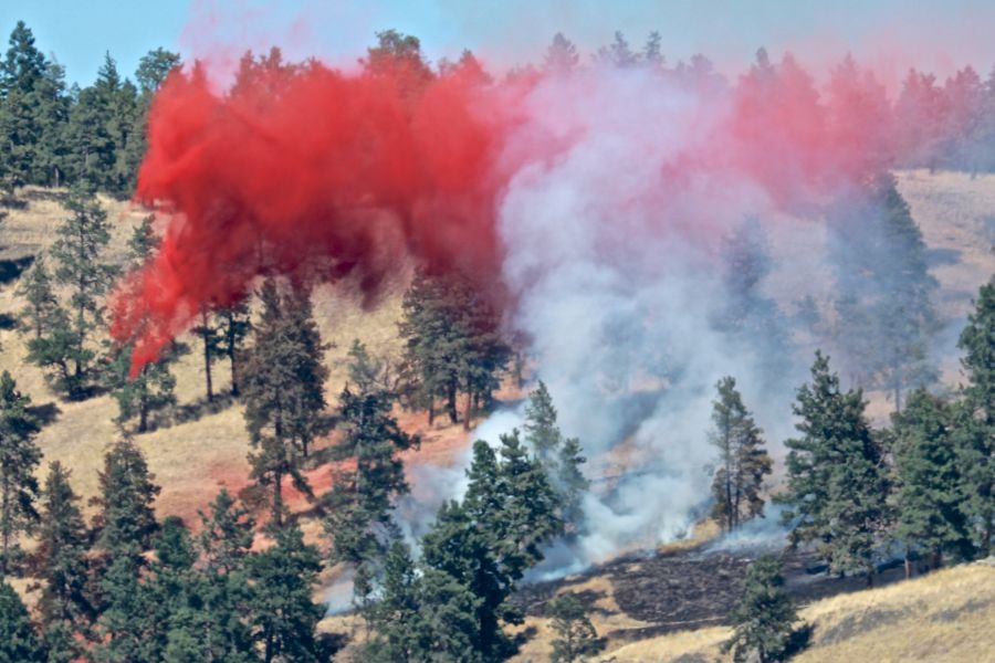 Photo credit: KelownaNow