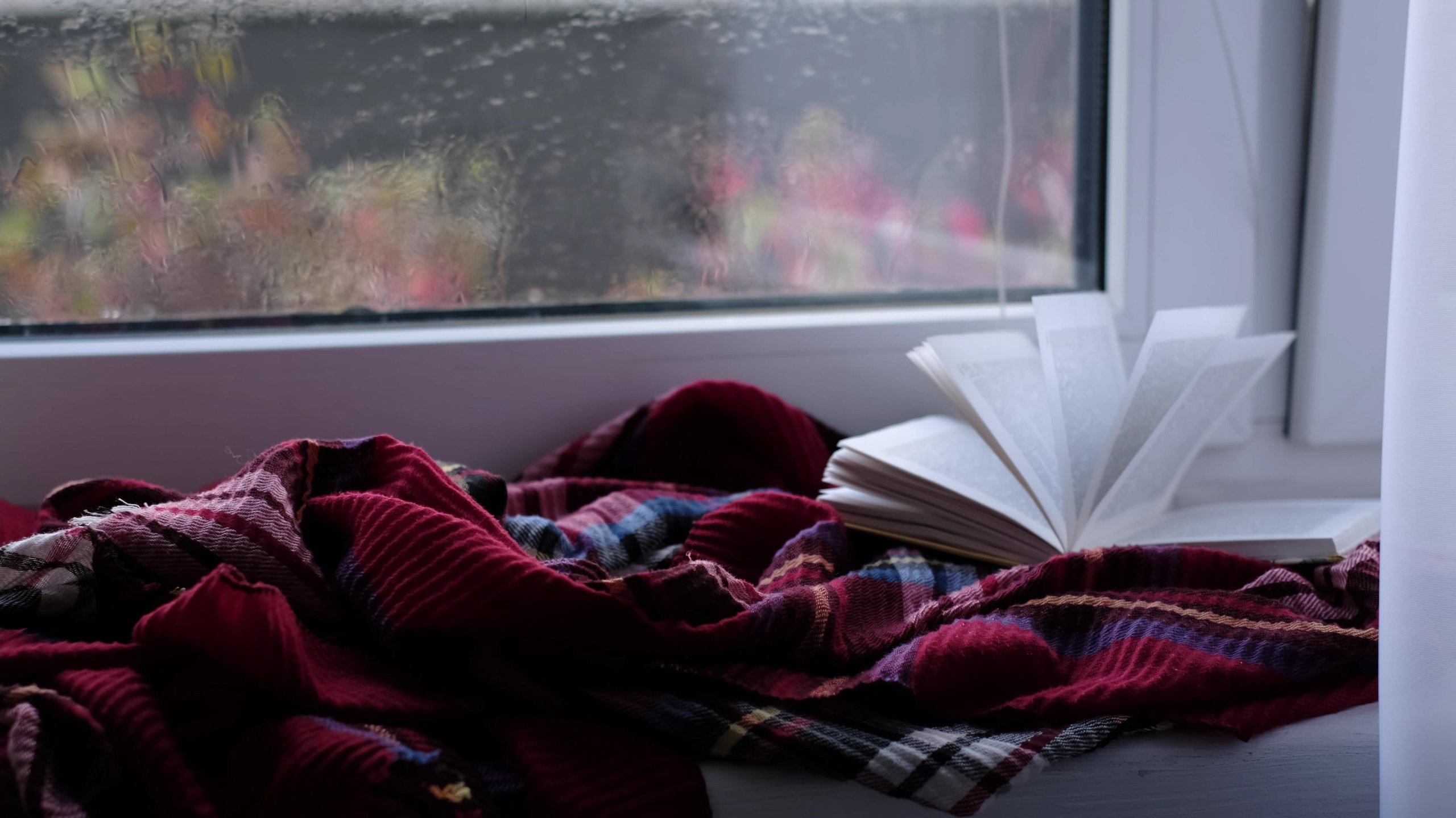 Here are Victoria’s most borrowed library books of 2023