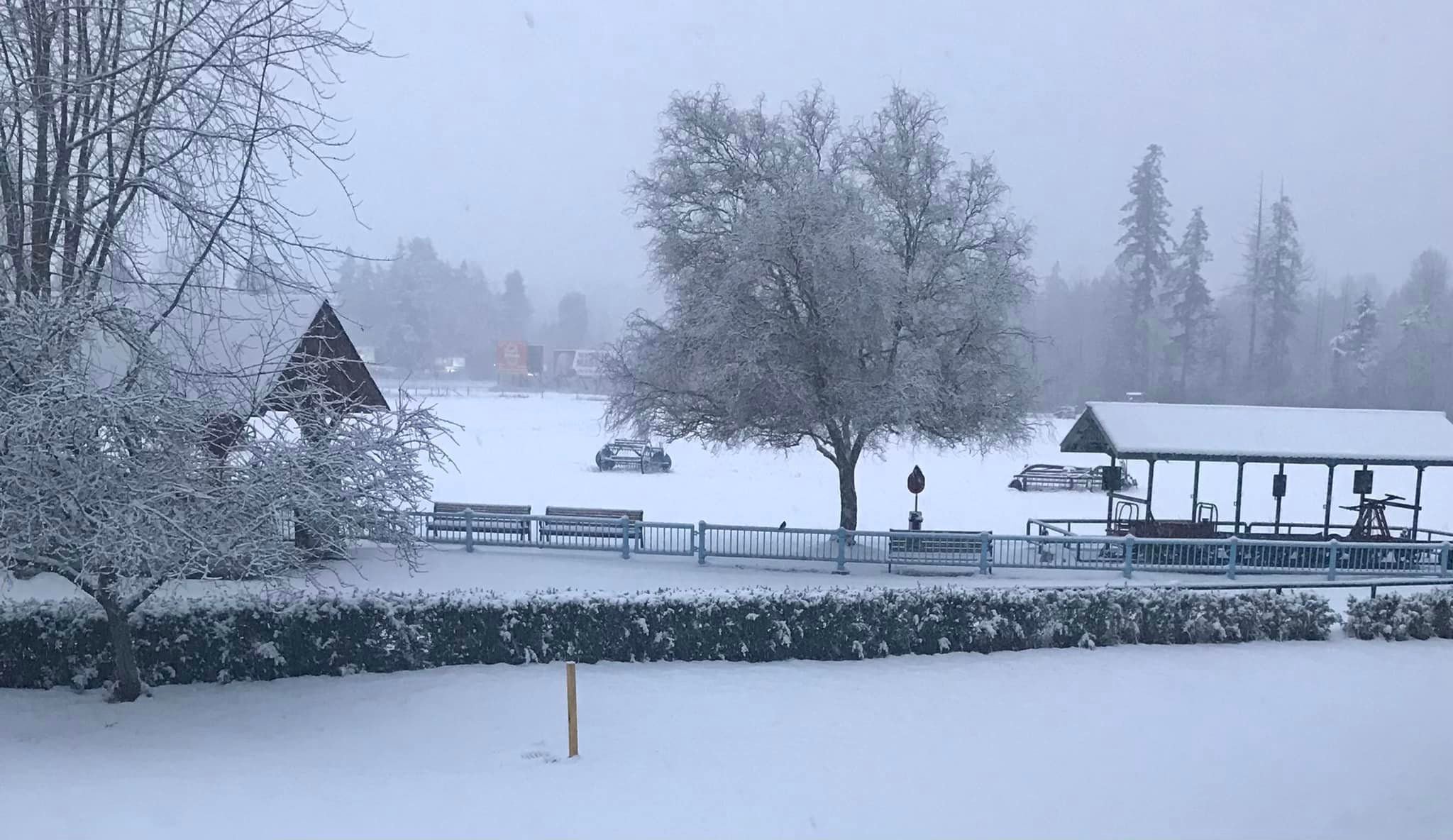 PHOTOS: Victoria has turned into a winter wonderland