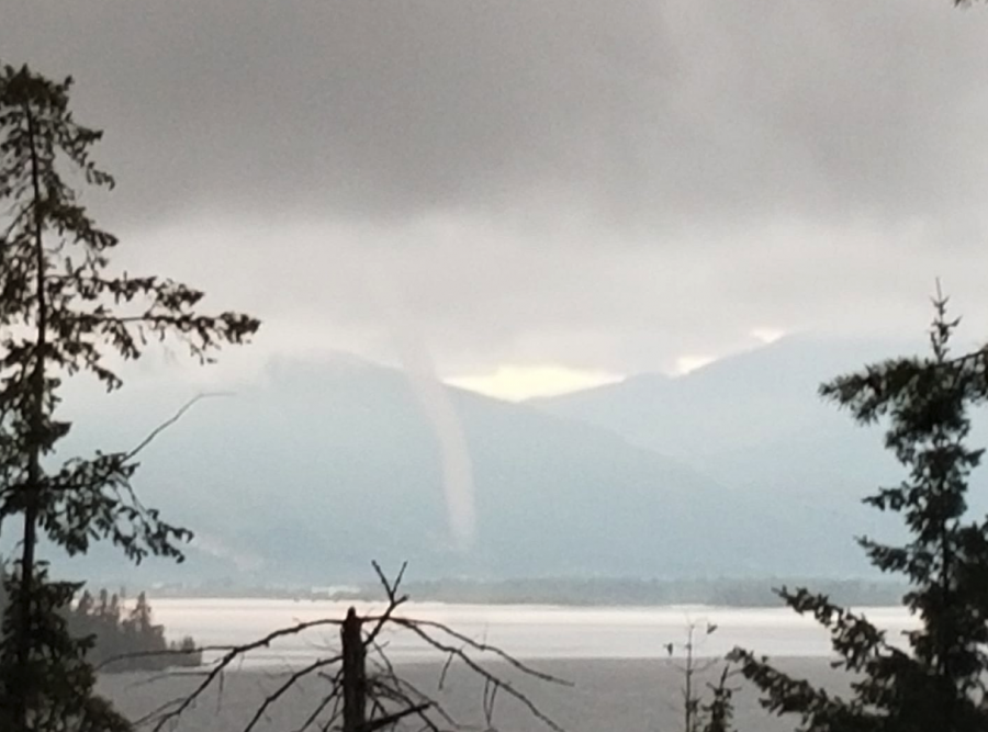 <who> Photo Credit: Faye Donaldson