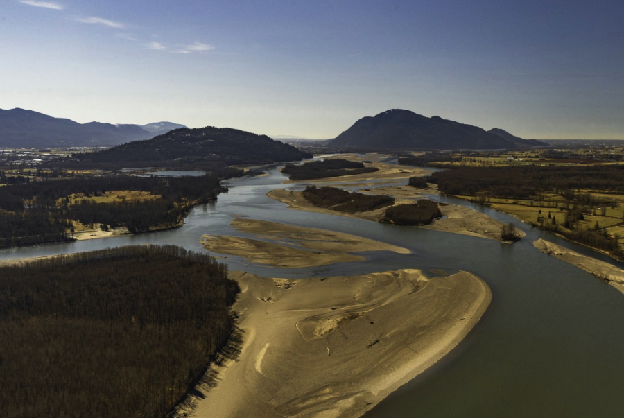 Environmental group buys island near Chilliwack to protect salmon