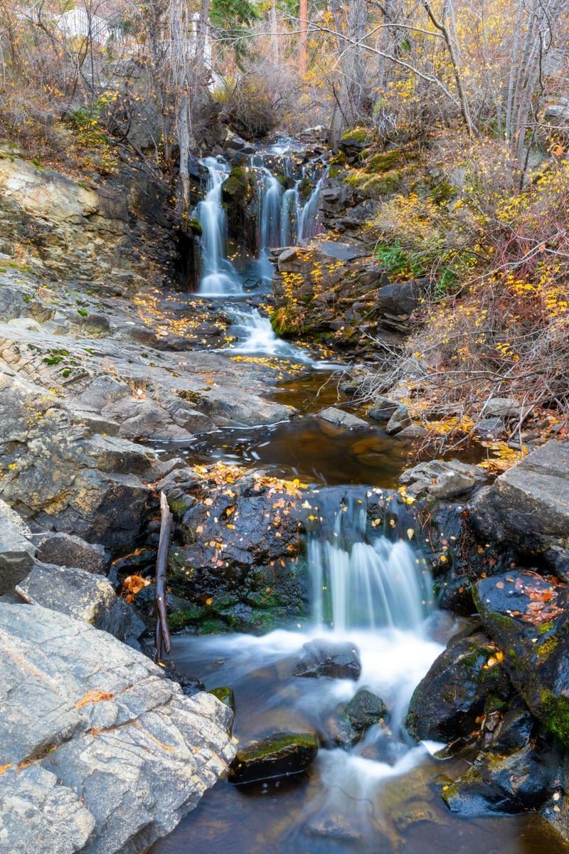 <who>Photo Credit: NowMedia/Gord Goble</who>